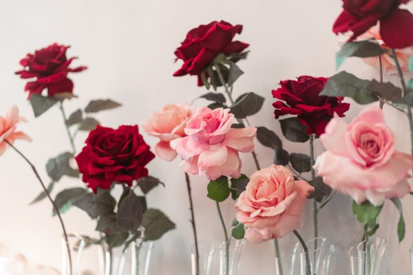 RL MAGICAL MOMENTS STYLING-02750