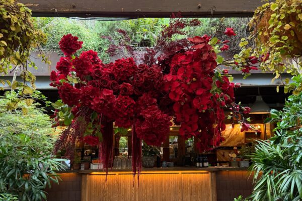 Facetune_09-02-2026-16-34-48